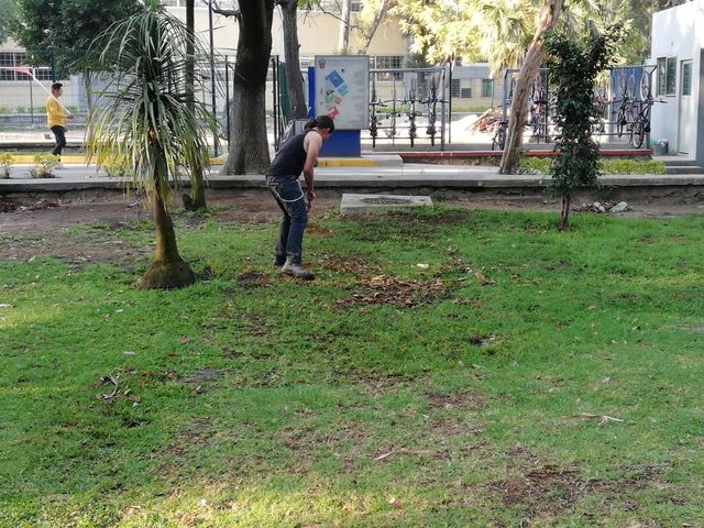Sin Nombre